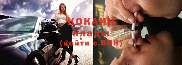 ПСИЛОЦИБИНОВЫЕ ГРИБЫ Богданович