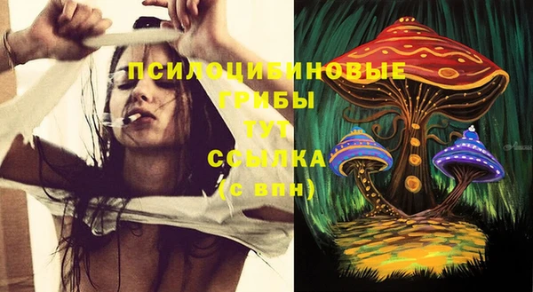 метадон Богородицк