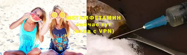 ПСИЛОЦИБИНОВЫЕ ГРИБЫ Богданович
