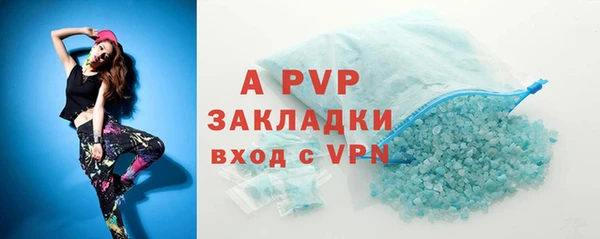 ПСИЛОЦИБИНОВЫЕ ГРИБЫ Богданович