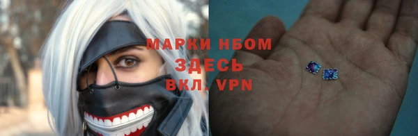 твердый Богородск