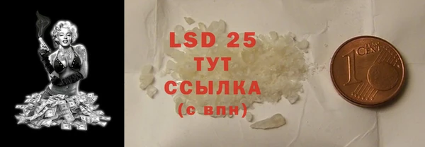 ПСИЛОЦИБИНОВЫЕ ГРИБЫ Богданович