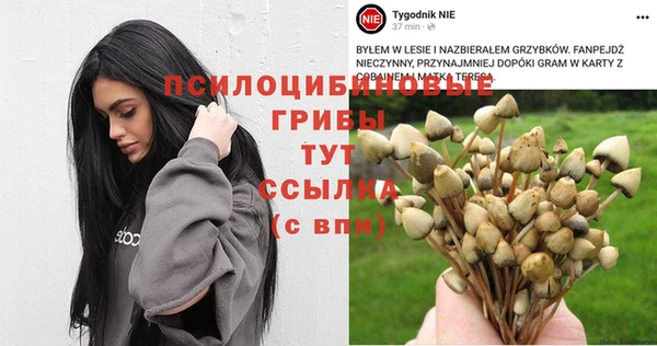 твердый Богородск