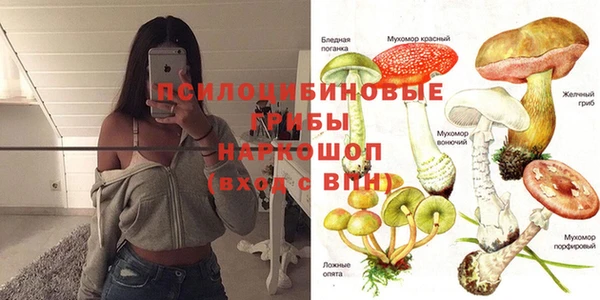твердый Богородск