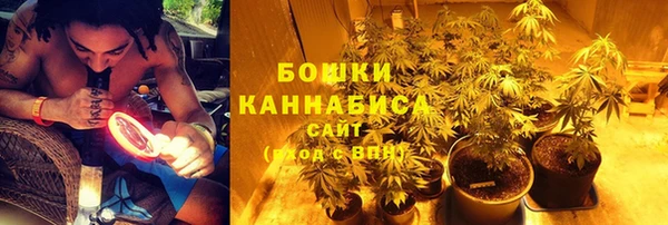ПСИЛОЦИБИНОВЫЕ ГРИБЫ Богданович