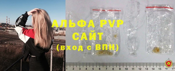 ПСИЛОЦИБИНОВЫЕ ГРИБЫ Богданович